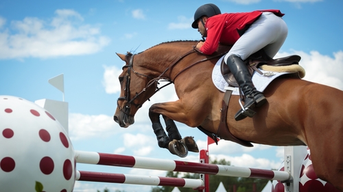 le saut d'obstacle à cheval